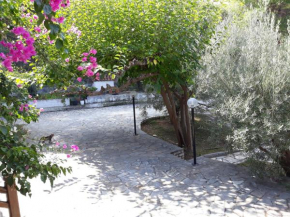 Σπίτι σε ελαιώνα, house in an olive grove